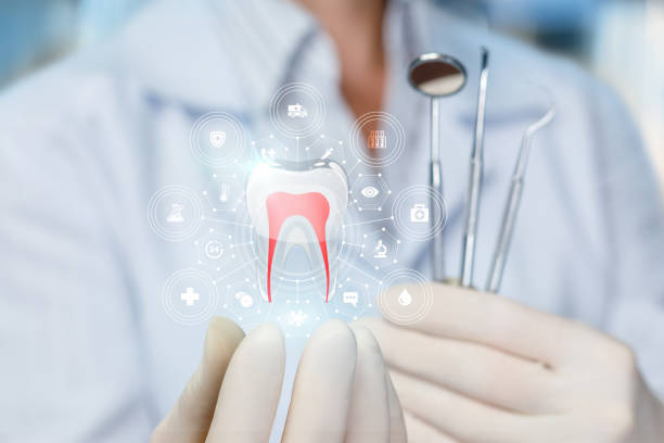 Best Dental Fillings (Composite and Amalgam)  in Spring Valley, IL